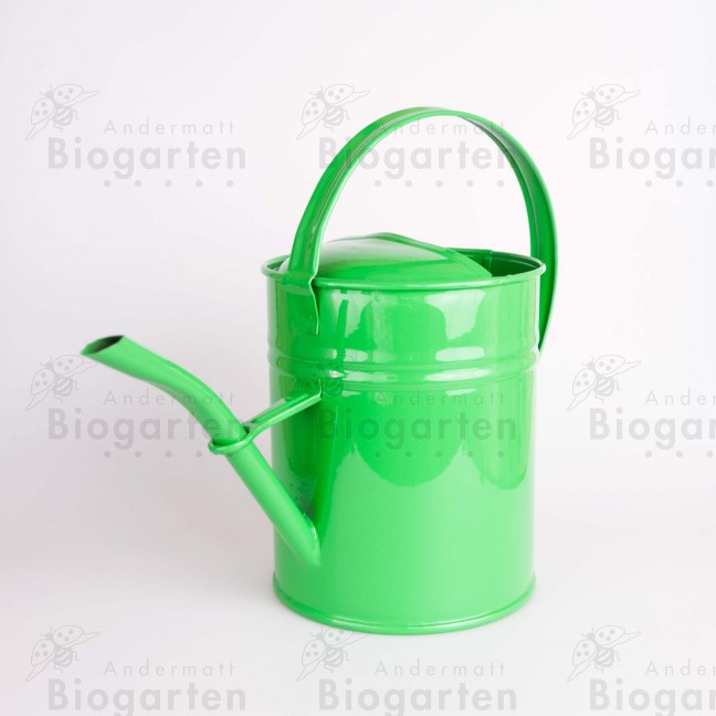 Arrosoir 1.9 litres vert